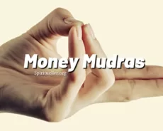 To Attract Money With These Mudra : Learn to Balance and Accept